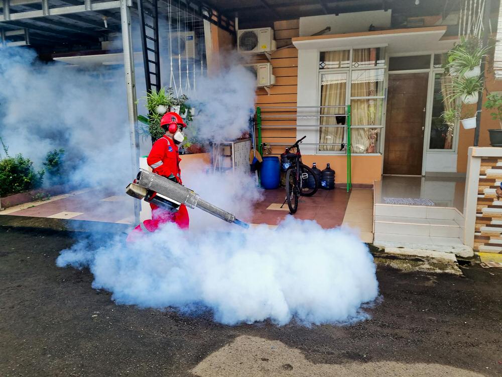 Nia's Fumigation Services