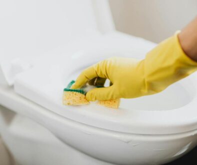 Nia's Toilet Cleaning